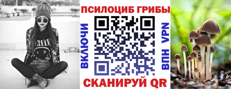 купить  сайты  гидра онион  Псилоцибиновые грибы ЛСД  Новокузнецк 